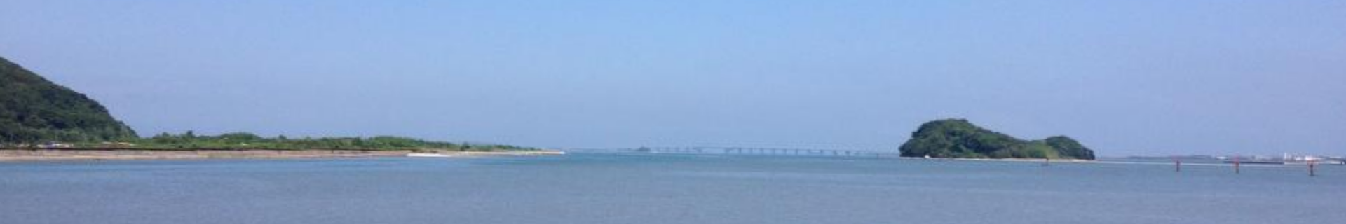 特定非営利活動法人生物多様性保全振興会の活動イメージ